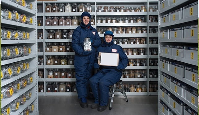 Two employees at RMS Wakehurst seed bank